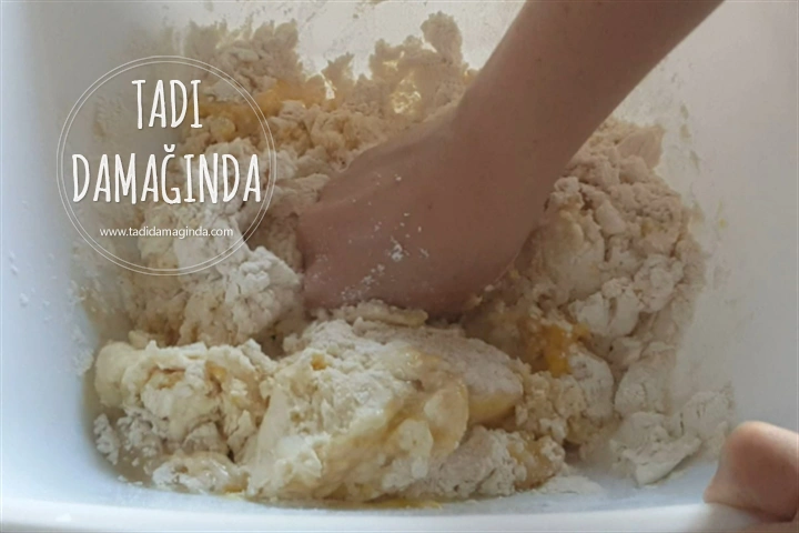 Tuzlu Pastane Kurabiyesi