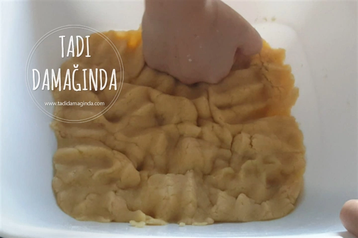 Tuzlu Pastane Kurabiyesi