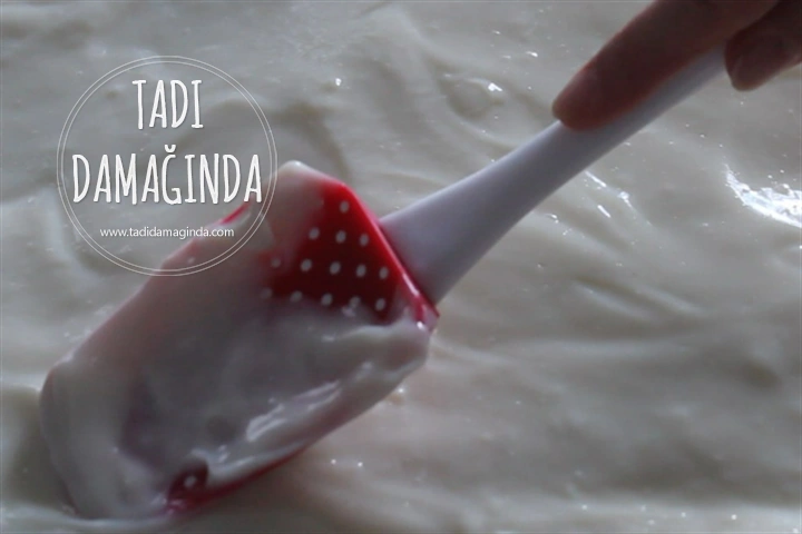 Büyük Borcamda Meyveli Yaz Pastası