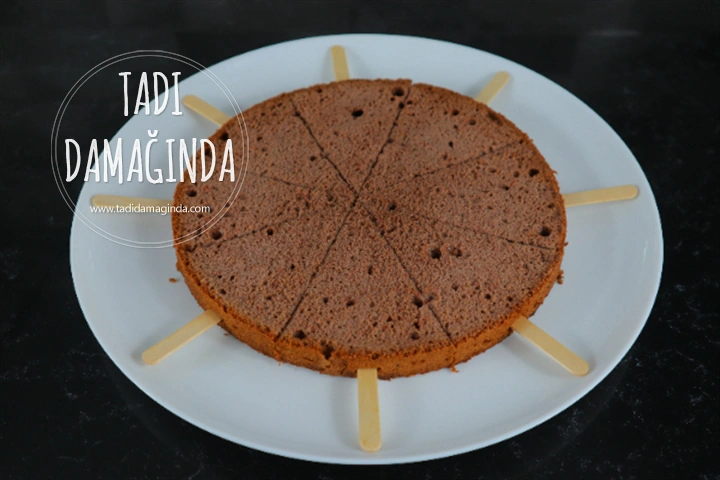 Çam Ağacı Kekleri